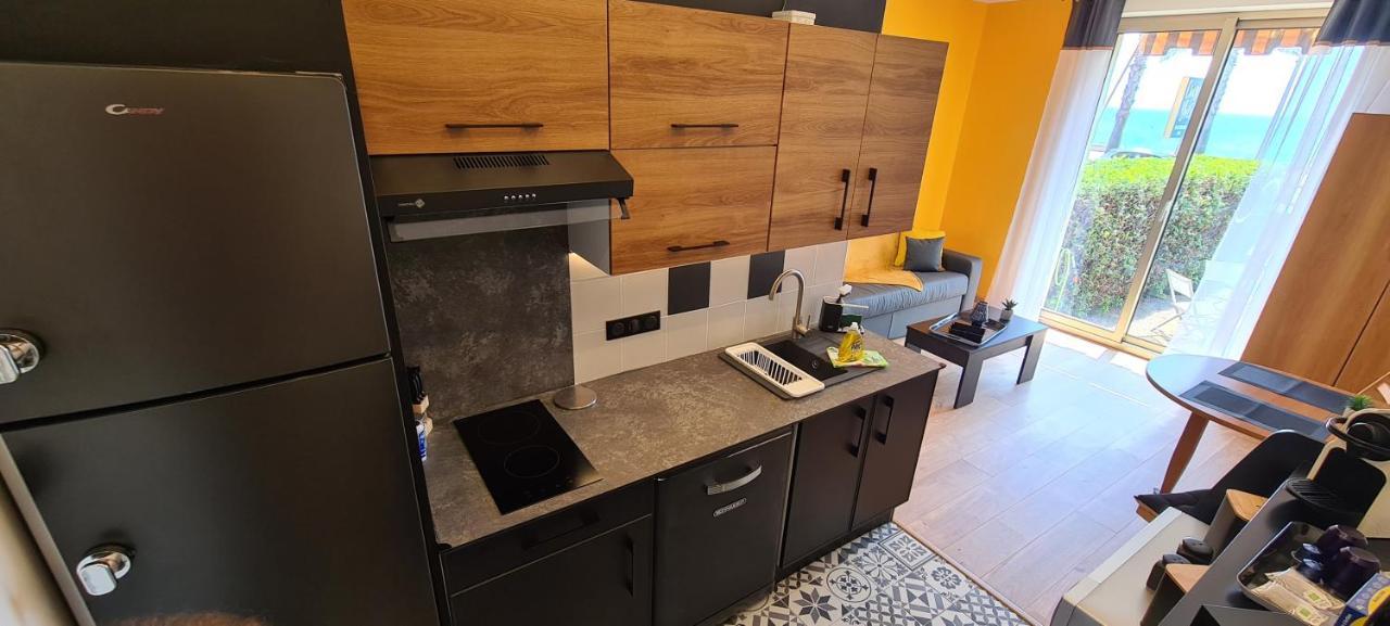 Studio De La Plage - Mer, Terrasse Et Garage Cagnes-sur-Mer Zewnętrze zdjęcie